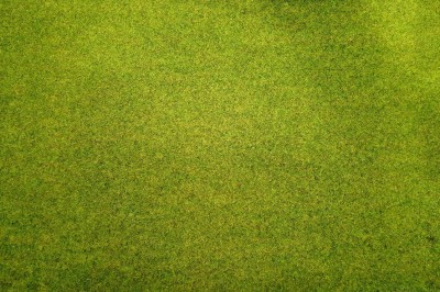 NOCH 00005 MINIMATA 004 45x30cm