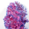 AK8264_1.jpg