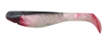 BLS4L-S038R.png