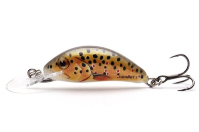 WOBLER SALMO HORNET 2,5cm/1,5g - TROUT [TONĄCY] [QHT002]
