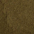 BNZ0004-0.jpg