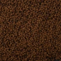 BNP0017-1.jpg