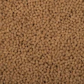 BNP0015-1.jpg