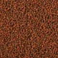 BNP0008-0.jpg