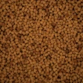 BNP0004-1.jpg