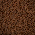 BNP0002-1.jpg