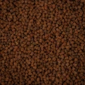 BNP0001-1.jpg