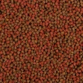 BNP0007-1.jpg