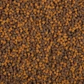 BNP0009-1.jpg