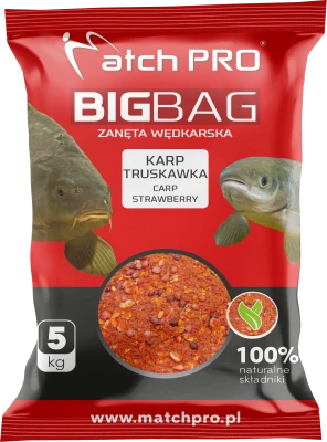 ZANĘTA MATCH PRO BIG BAG 5kg KARP TRUSKAWKA #500072