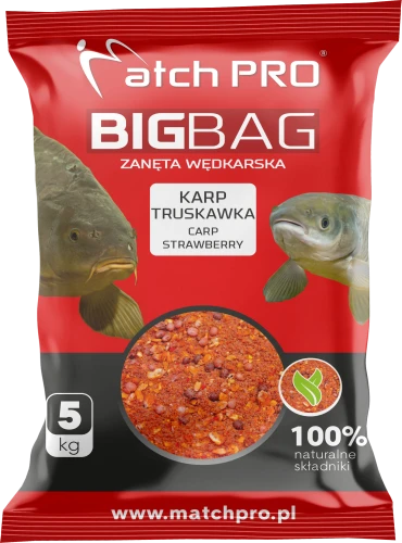500072.png
