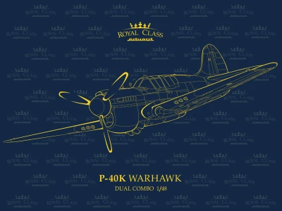 EDUARD R0024 1:48 ROYAL CLASS P-40K Warhawk DUAL COMBO [LIMITED EDITION]