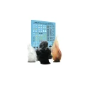 402012104-4.webp