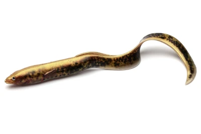 GUMA SAVAGE GEAR REAL EEL 15cm LAMPREY PHP (imit. węgorza) #63776 