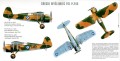 Mirage_48108_P24G_PAINT.jpg