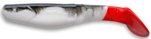 bb-rt-w.jpg