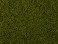 07270.jpg