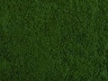 07271.jpg