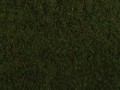 07272.jpg