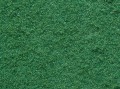 07332.jpg