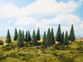24642.jpg