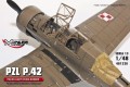 PZL-42 GOT 05 kopiaint.jpg