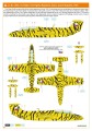7096-14.jpg