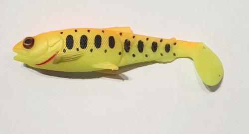 71810.jpg