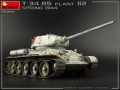 35294-9.jpg