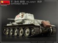 35294-10.jpg