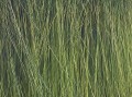 07060-5.jpg
