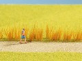 07060-1.jpg