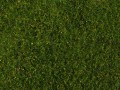 07291-1.jpg