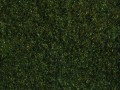 07292-1.jpg