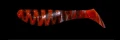 TG066.jpg