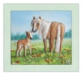 konie w ramce HAFLINGER kolor_800px.jpg