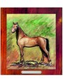 KONIE american single horse kolor.jpg