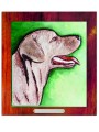 PSY labrador kolor.jpg