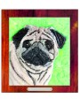 PSY mops kolor.jpg
