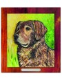 PSY golden retriever kolor.jpg