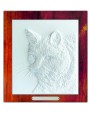 KOTY turecki angora.jpg