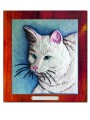 KOTY turecki angora kolor.jpg