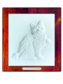 KOTY american bobtail.jpg