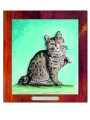 KOTY american bobtail kolor.jpg