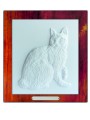 KOTY japanese bobtail.jpg