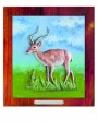 ZOO antylopa kolor.jpg