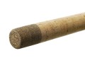 62384-2.jpg