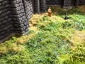07300-1.jpg