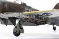 82124-5.jpg