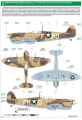 11149-22.jpg